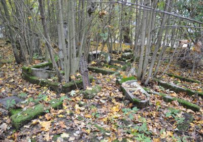 Brandov neudržovaná část, Omnium, 2020