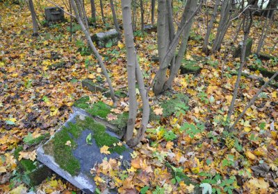 Brandov neudržovaná část, Omnium, 2020