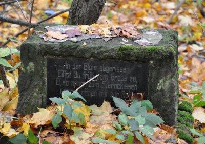 Brandov neudržovaná část, Omnium, 2020