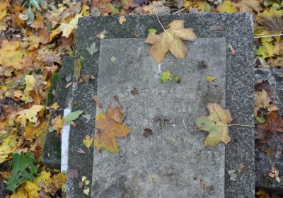 Brandov neudržovaná část, Omnium, 2020