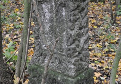 Brandov neudržovaná část, Omnium, 2020