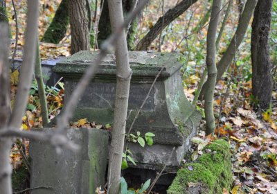 Brandov neudržovaná část, Omnium, 2020