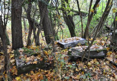 Brandov neudržovaná část, Omnium, 2020