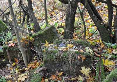 Brandov neudržovaná část, Omnium, 2020