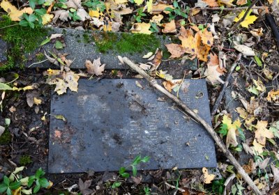 Brandov neudržovaná část, Omnium, 2020