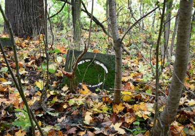 Brandov neudržovaná část, Omnium, 2020