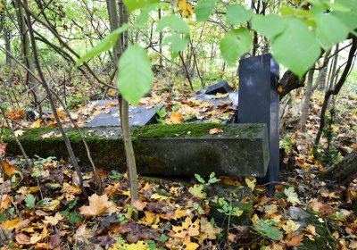 Brandov neudržovaná část, Omnium, 2020