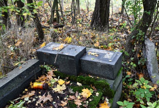 Brandov neudržovaná část, Omnium, 2020