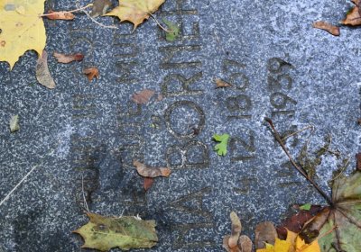 Brandov neudržovaná část, Omnium, 2020