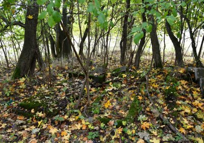 Brandov neudržovaná část, Omnium, 2020