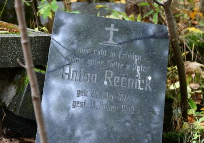 Brandov neudržovaná část, Omnium, 2020