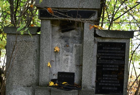 Brandov neudržovaná část, Omnium, 2020