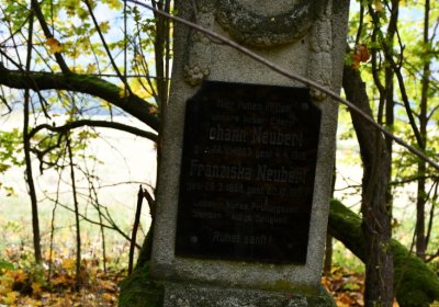 Brandov neudržovaná část, Omnium, 2020