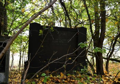 Brandov neudržovaná část, Omnium, 2020