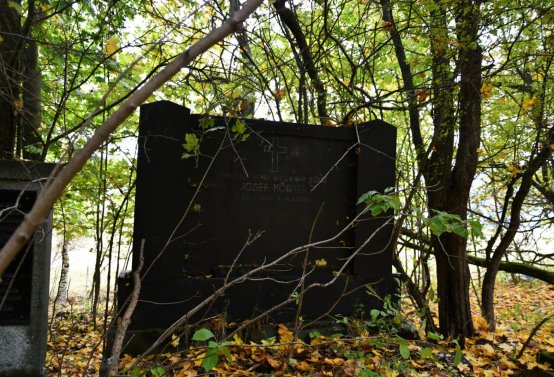 Brandov neudržovaná část, Omnium, 2020