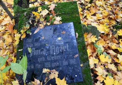 Brandov neudržovaná část, Omnium, 2020