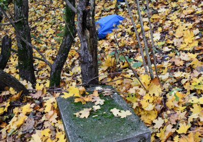 Brandov neudržovaná část, Omnium, 2020