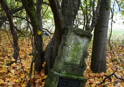 Brandov neudržovaná část, Omnium, 2020