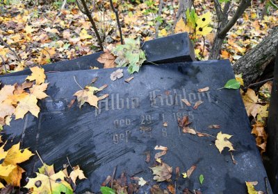 Brandov neudržovaná část, Omnium, 2020