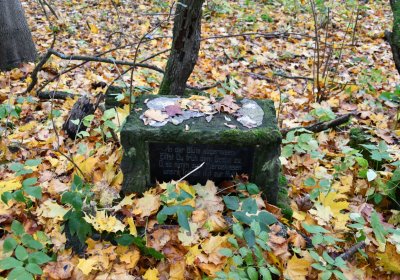 Brandov neudržovaná část, Omnium, 2020