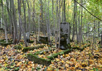 Brandov neudržovaná část, Omnium, 2020