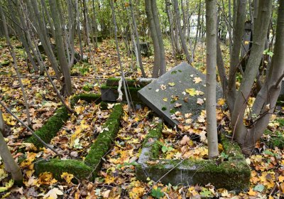 Brandov neudržovaná část, Omnium, 2020