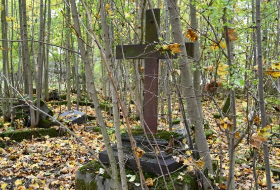 Brandov neudržovaná část, Omnium, 2020