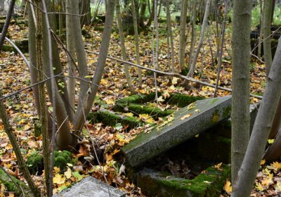 Brandov neudržovaná část, Omnium, 2020