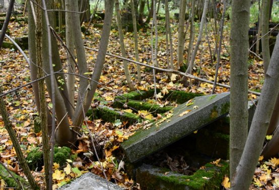 Brandov neudržovaná část, Omnium, 2020