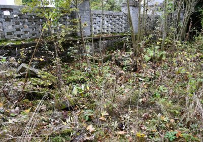 Brandov neudržovaná část, Omnium, 2020