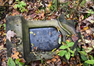 Brandov neudržovaná část, Omnium, 2020