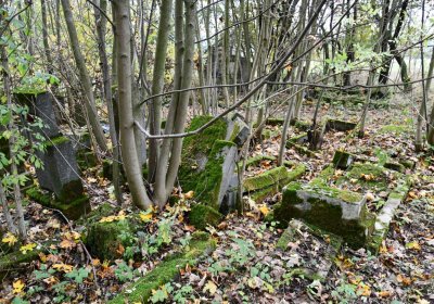 Brandov neudržovaná část, Omnium, 2020