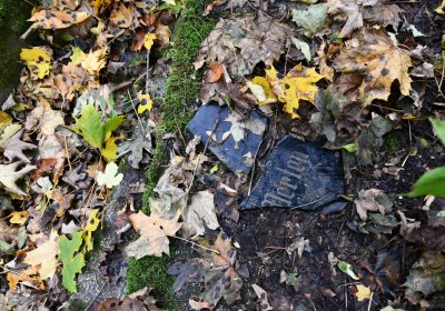 Brandov neudržovaná část, Omnium, 2020