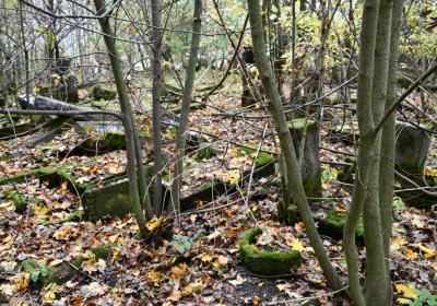 Brandov neudržovaná část, Omnium, 2020