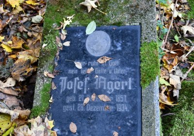 Brandov neudržovaná část, Omnium, 2020