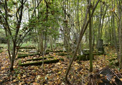 Brandov neudržovaná část, Omnium, 2020