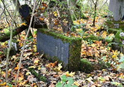 Brandov neudržovaná část, Omnium, 2020