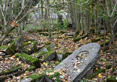 Brandov neudržovaná část, Omnium, 2020