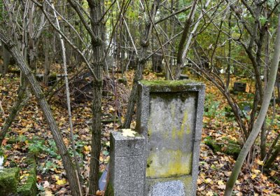 Brandov neudržovaná část, Omnium, 2020