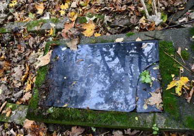 Brandov neudržovaná část, Omnium, 2020