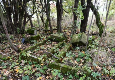 Brandov neudržovaná část, Omnium, 2020