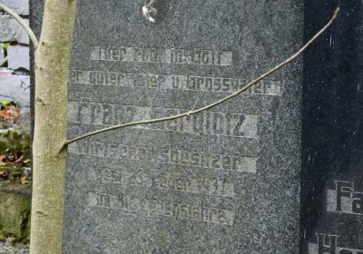 Brandov neudržovaná část, Omnium, 2020