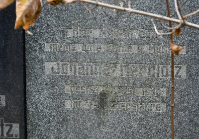 Brandov neudržovaná část, Omnium, 2020