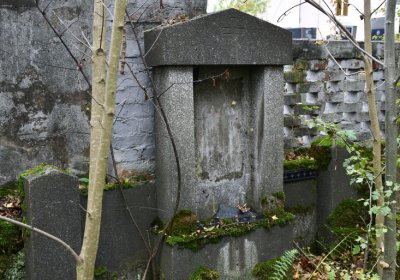 Brandov neudržovaná část, Omnium, 2020