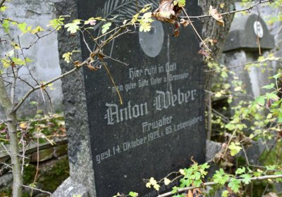 Brandov neudržovaná část, Omnium, 2020