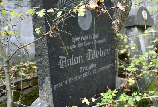 Brandov neudržovaná část, Omnium, 2020