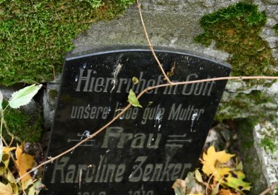 Brandov neudržovaná část, Omnium, 2020