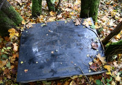 Brandov neudržovaná část, Omnium, 2020