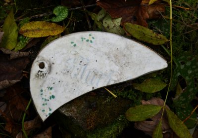 Brandov neudržovaná část, Omnium, 2020