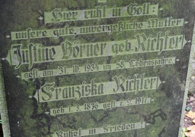 Brandov neudržovaná část, Omnium, 2020